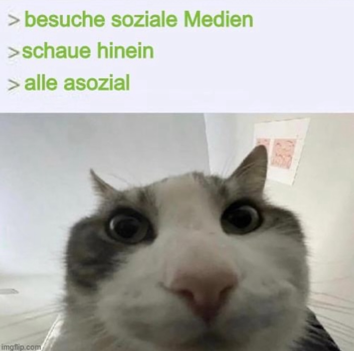 asozialemedien