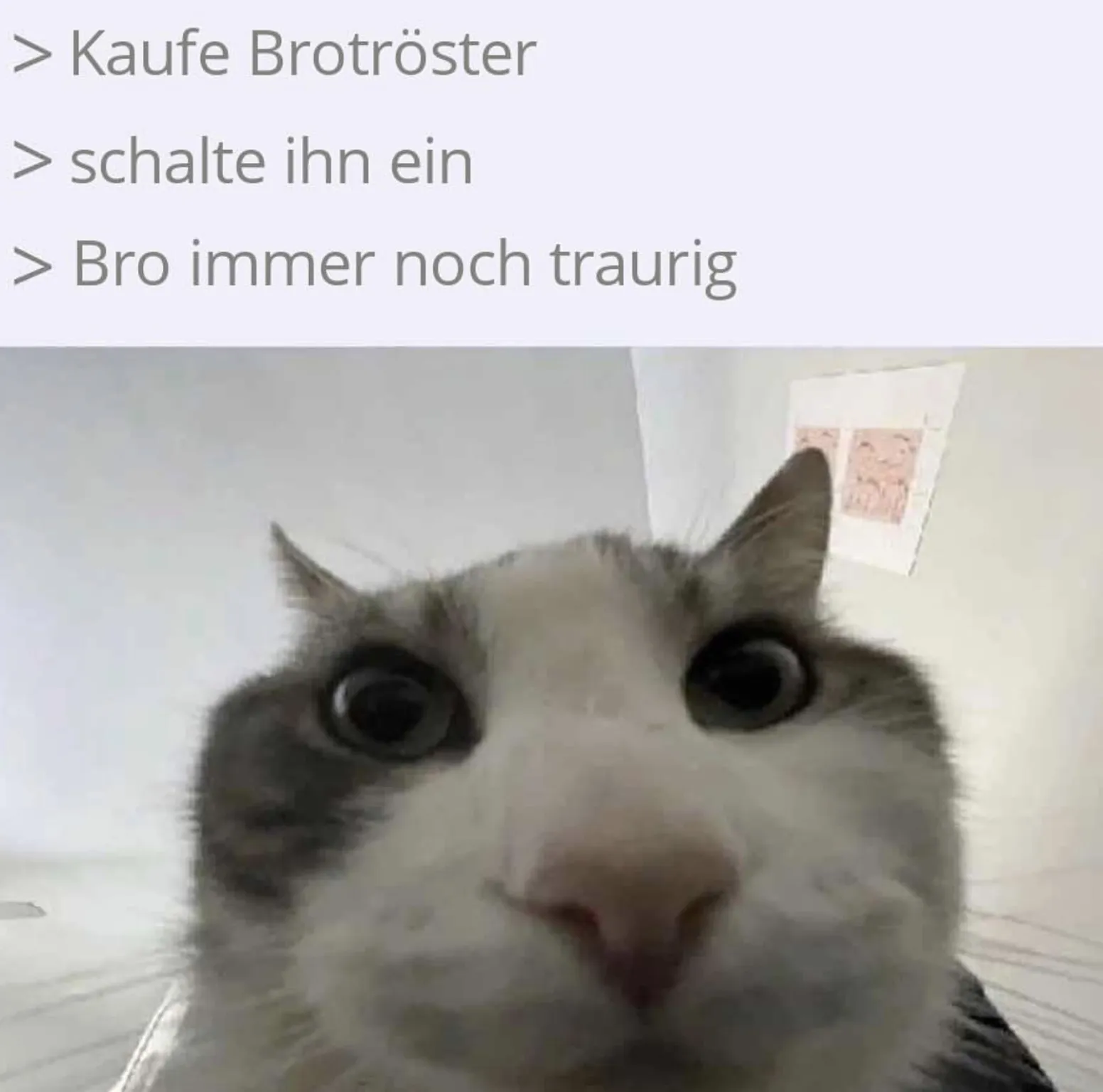 brotroester