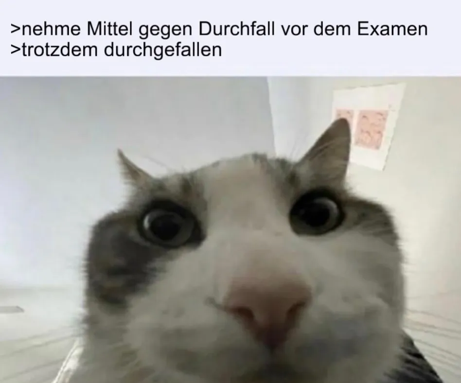 durchfall