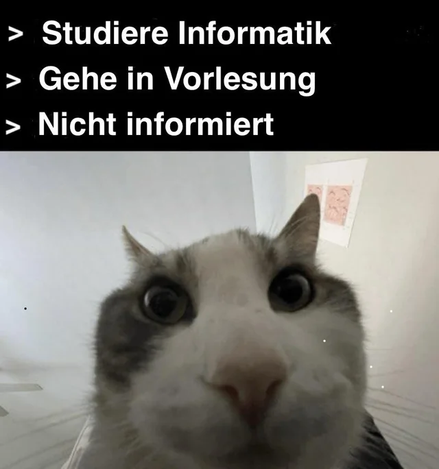 informiertik