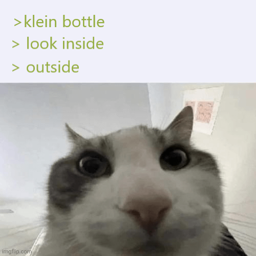 kleinbottle