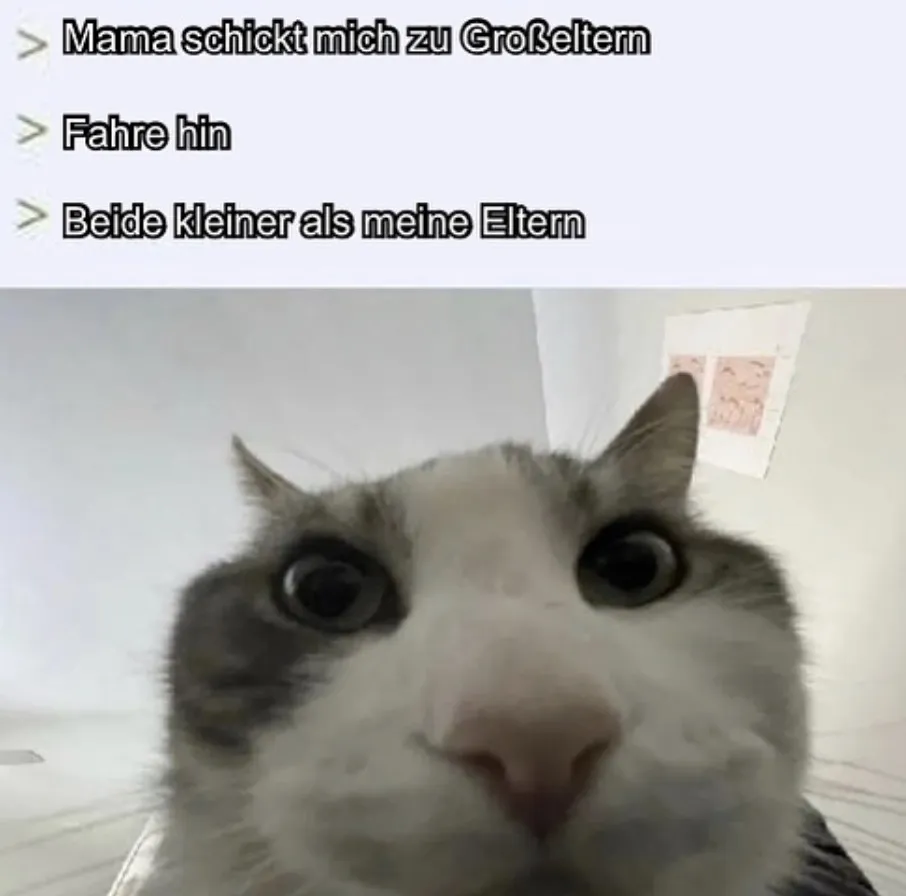 kleineltern