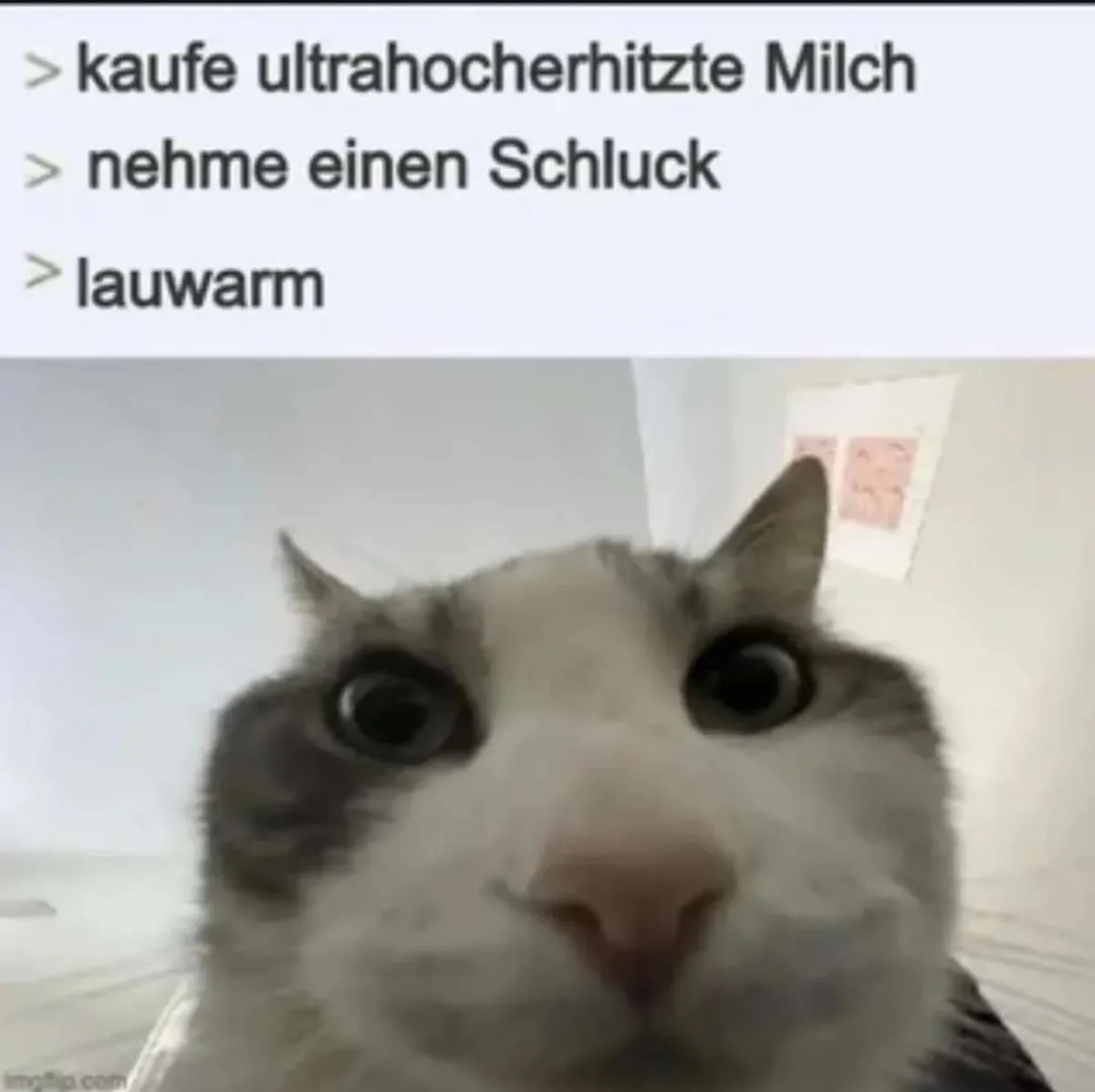 milch