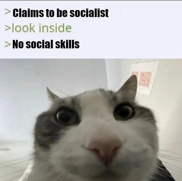 socialist