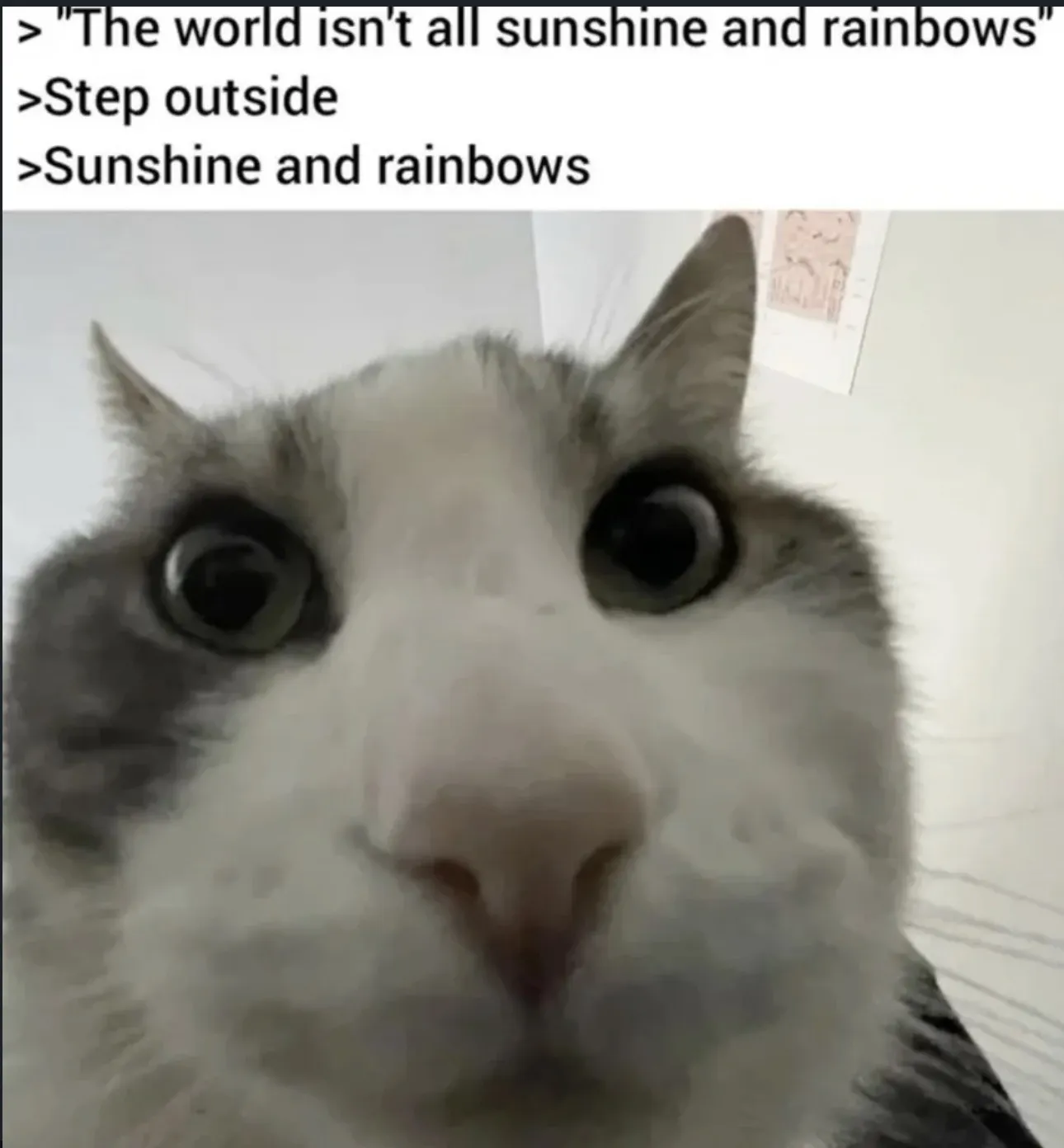sunshine&rainbows