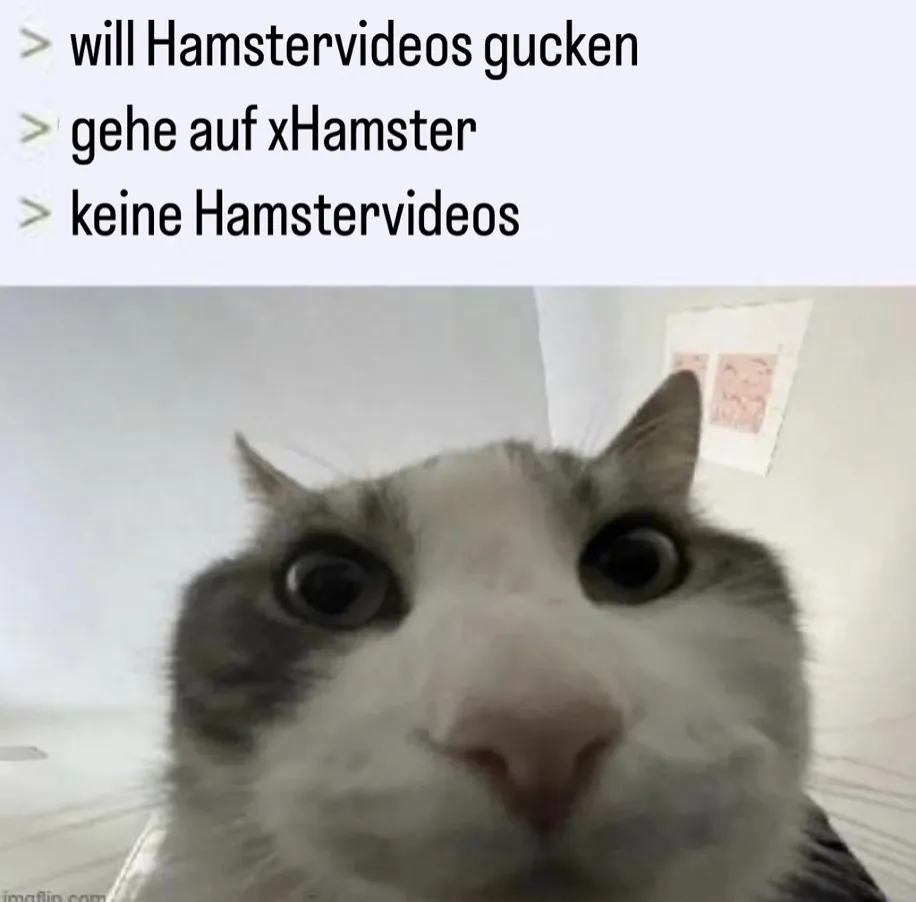 xhamster